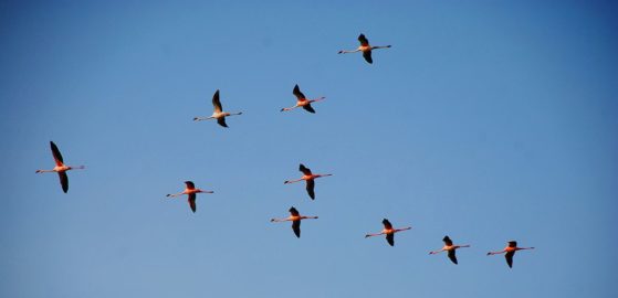 Java: Linked Lists and HashMaps
